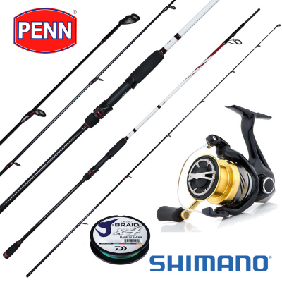 Penn Squadron II Surf Spinning Fishing Rod 10': Buy Online at Best Price in  UAE 