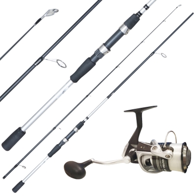 DAIWA D-WAVE SPINNING FISHING ROD 7FT-9FT Price in India – Buy