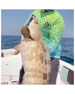 قميص صيد مونستر برفورمانس طويل الأكمام - Napoleon Fish
